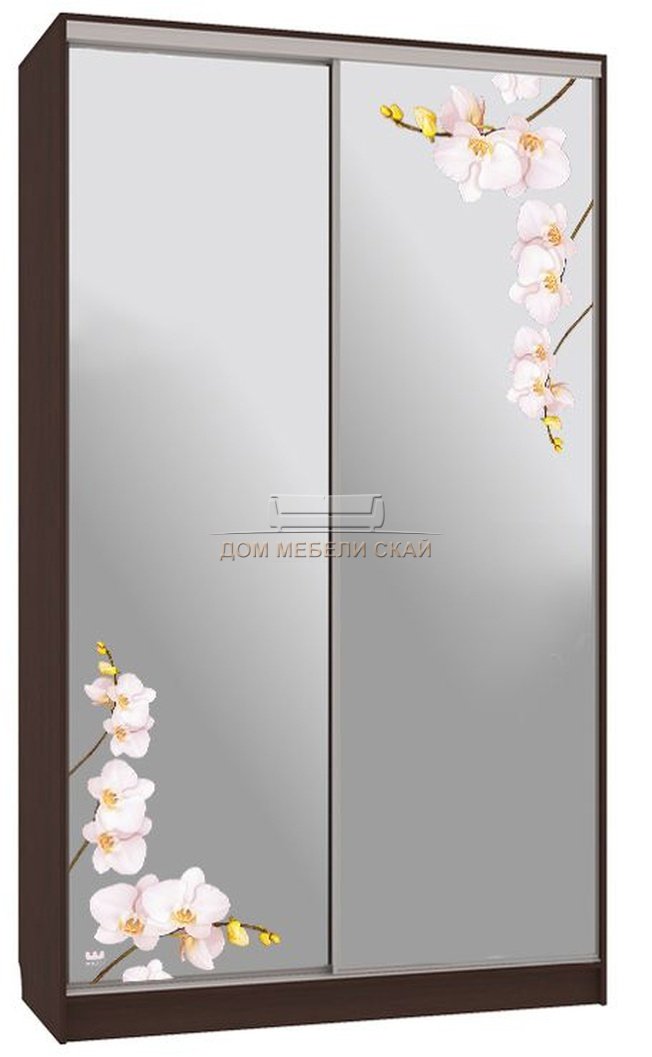 Шкаф-купе 2-дверный зеркальный Рио 4-600, венге/орхидеи