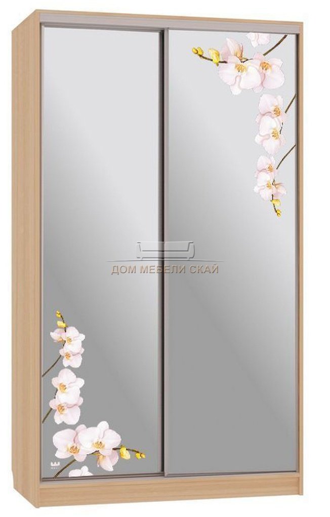 Шкаф-купе 2-дверный зеркальный Рио 4-600, дуб сонома/орхидеи