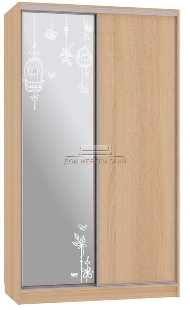 Шкаф-купе 2-дверный с зеркалом Рио 1-600, дуб сонома/птицы
